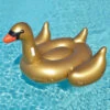 Swimline Giant Golden Goose Ride-On -Essentials Pool Store giant golden goose ride on by swimline 3